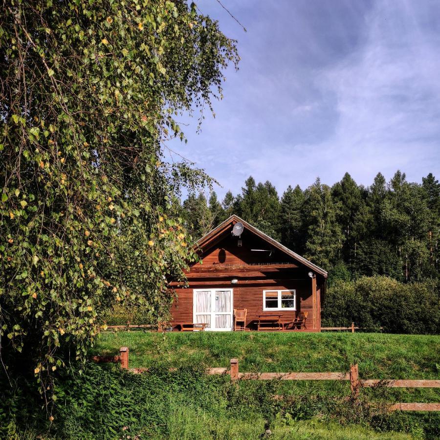 4 Rodzinne Hotele Blisko Muzeum Ziemi - Praktyczny Przewodnik